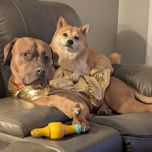 Fundraising Page: Amanda Brunish